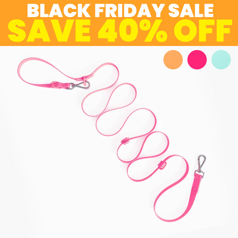 SALE: Handsfree Leash