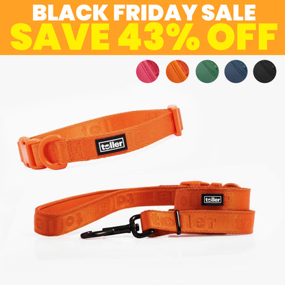 SALE: Leash & Collar Bundle