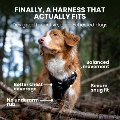 Dog wearing a harness with text highlighting features, standing in a forest.