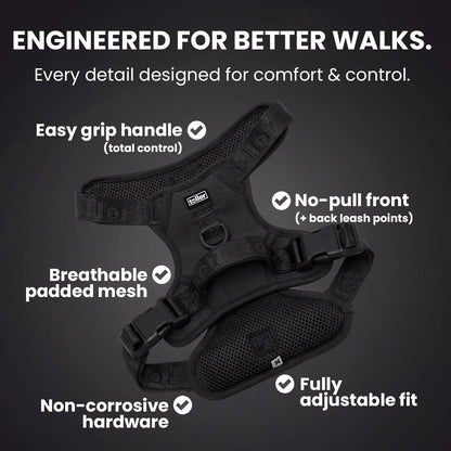 Black dog harness with features highlighted on a dark background