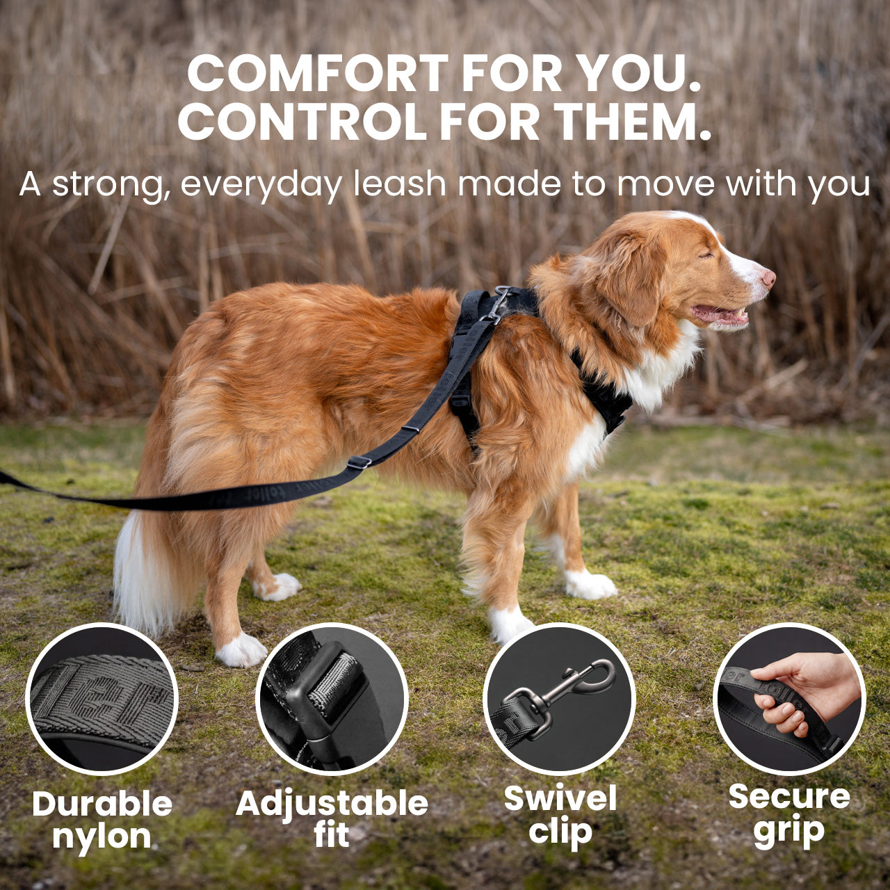 Dog on a leash with features highlighted and text about comfort and control.