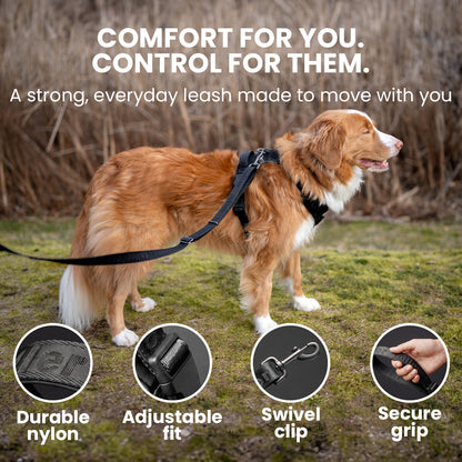 Dog on a leash with features highlighted and text about comfort and control.