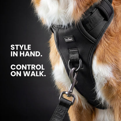 Dog wearing a black harness with text 'Style in hand. Control on walk.'