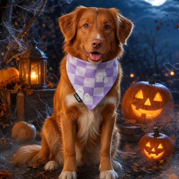 'Boo Crew' 2-in-1 Dog Bandana