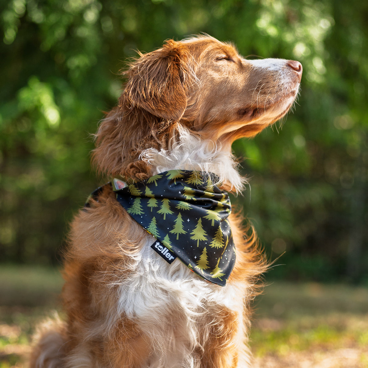 'Happy Camper' 2-in-1 Dog Bandana
