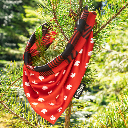 Red bandana with white patterns hanging on a tree branch