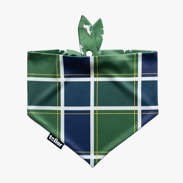 Day On The Green 2-in-1 dog bandana, side one