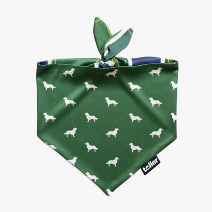 Day On The Green 2-in-1 dog bandana, side two