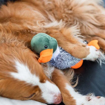 Toller Cuddling Duck Toy