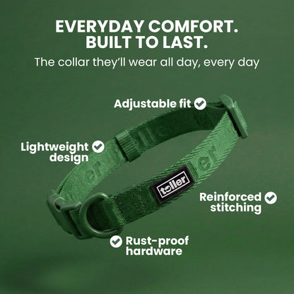 Green dog collar with features listed on a green background