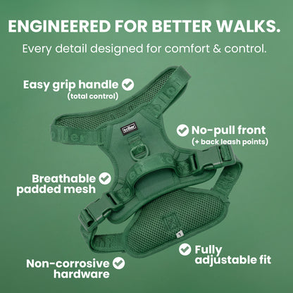Green dog harness with features listed on a green background