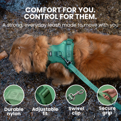 Dog wearing a green harness and leash on a rocky surface with product features highlighted.
