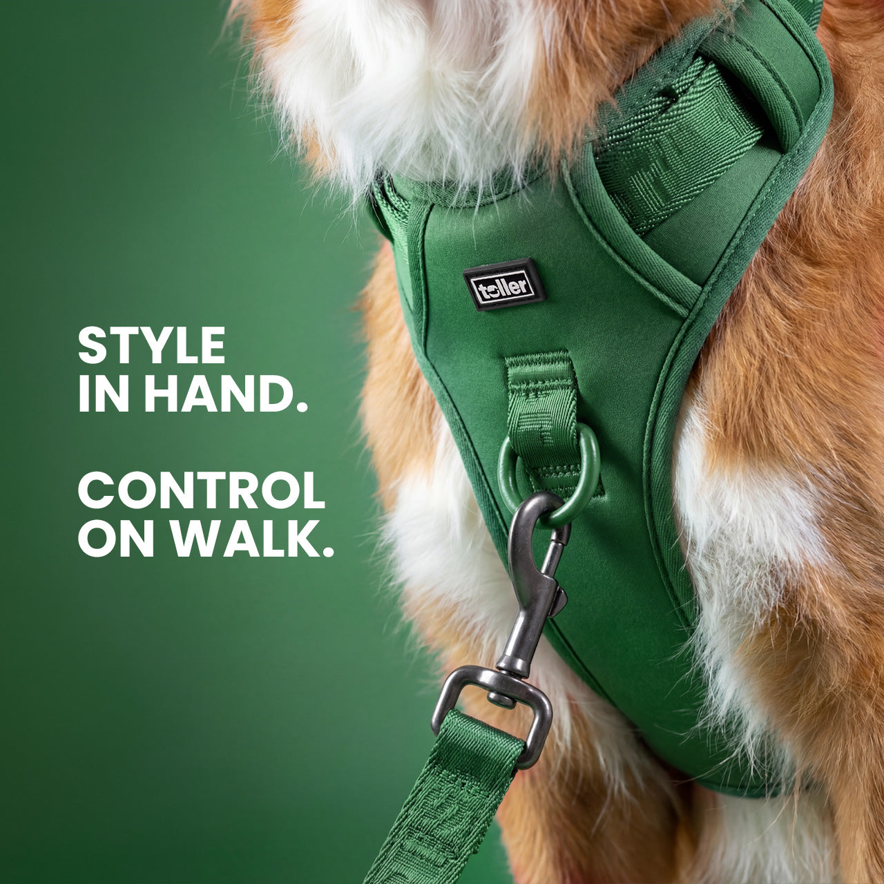 Dog wearing a green harness with text 'Style in hand. Control on walk.' on a green background