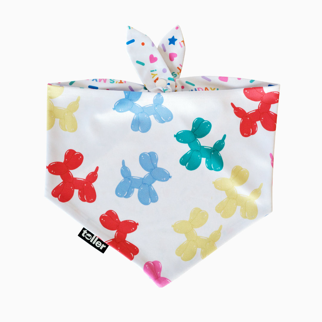 'Hip Hip Hooray' 2-in-1 Dog Bandana