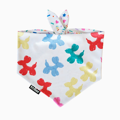 'Hip Hip Hooray' 2-in-1 Dog Bandana