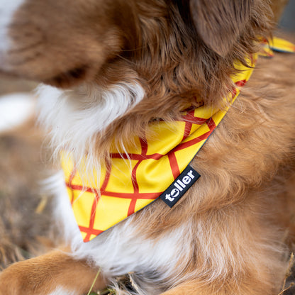 'Howdy Partner' 2-in-1 Dog Bandana