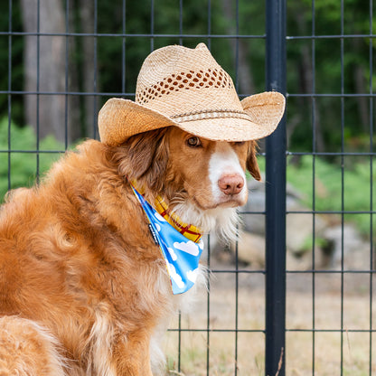 'Howdy Partner' 2-in-1 Dog Bandana