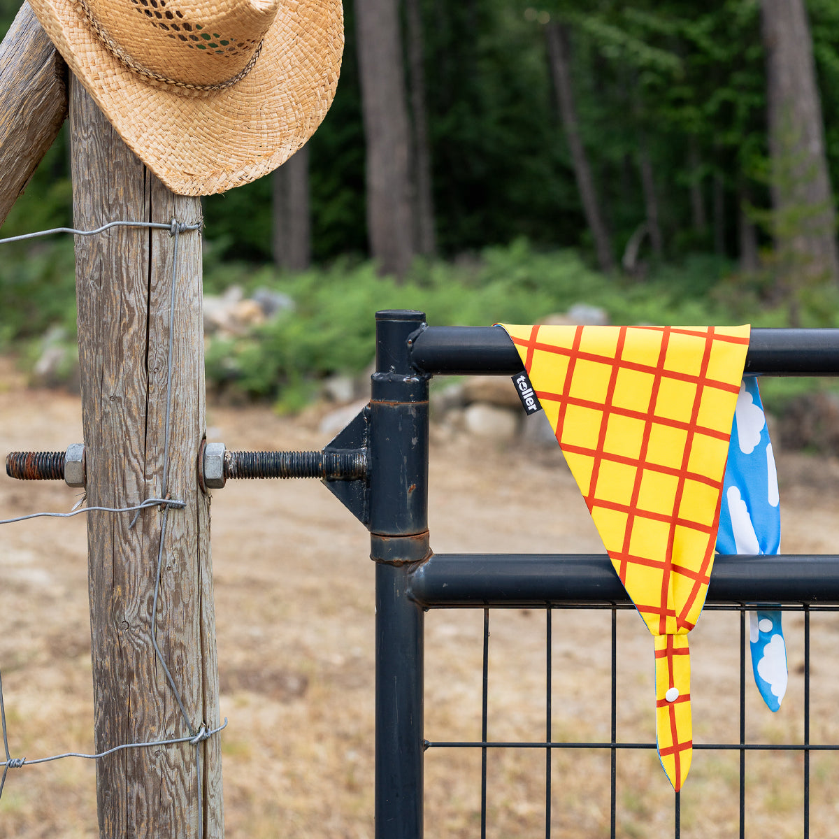 'Howdy Partner' 2-in-1 Dog Bandana