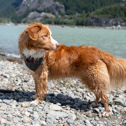 red dog and green bandana