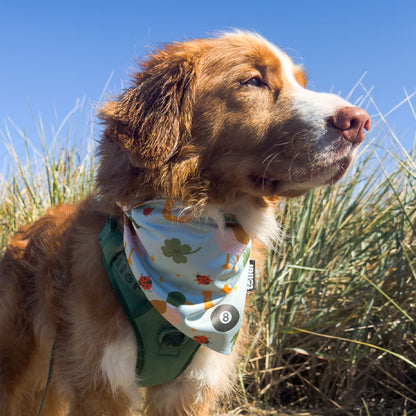 Lucky Duck reversible 2-in-1 dog bandana
