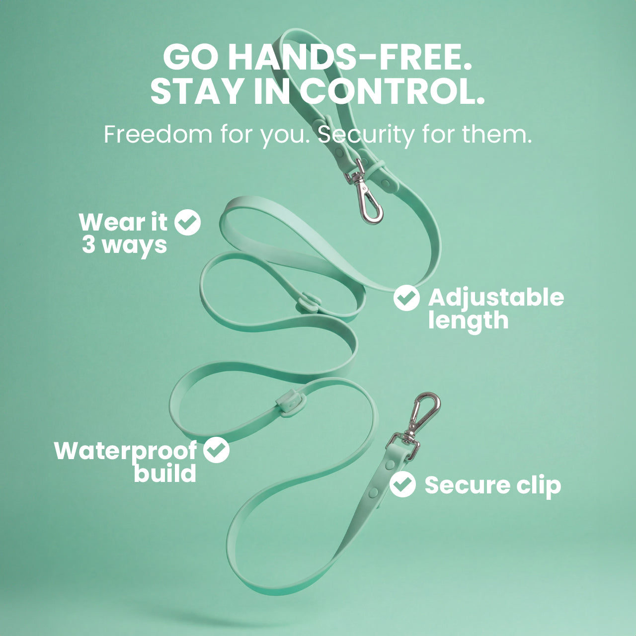 Clear dog leash with features on a green background