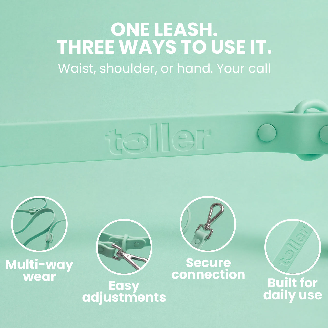 Teal leash with features and text on a light green background