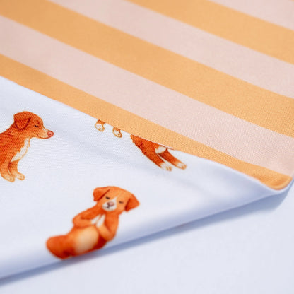 'Nama-stay Stripe' 2-in-1 Dog Bandana