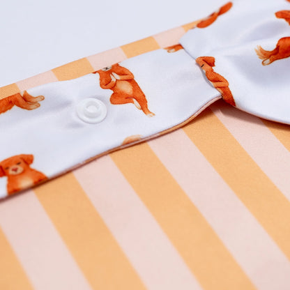 'Nama-stay Stripe' 2-in-1 Dog Bandana