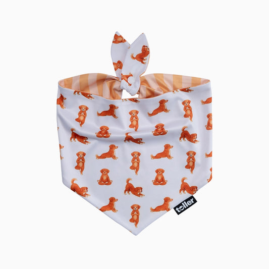 'Nama-stay Stripe' 2-in-1 Dog Bandana