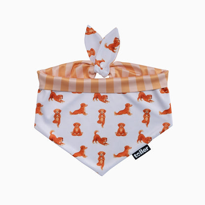 'Nama-stay Stripe' 2-in-1 Dog Bandana
