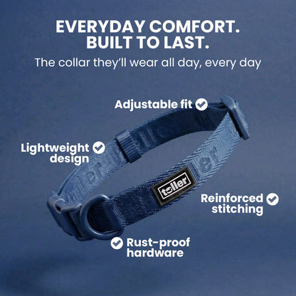 Blue dog collar with features listed on a blue background