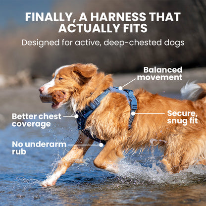 Dog running in water wearing a harness with text highlighting features