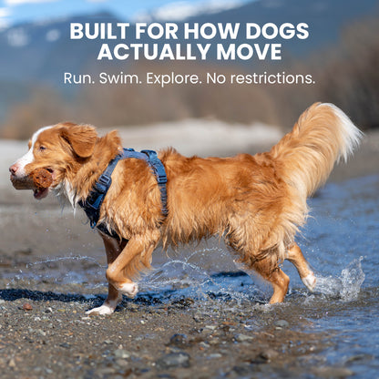 Dog running in water with text 'Built for how dogs actually move' and 'Run. Swim. Explore. No restrictions.'