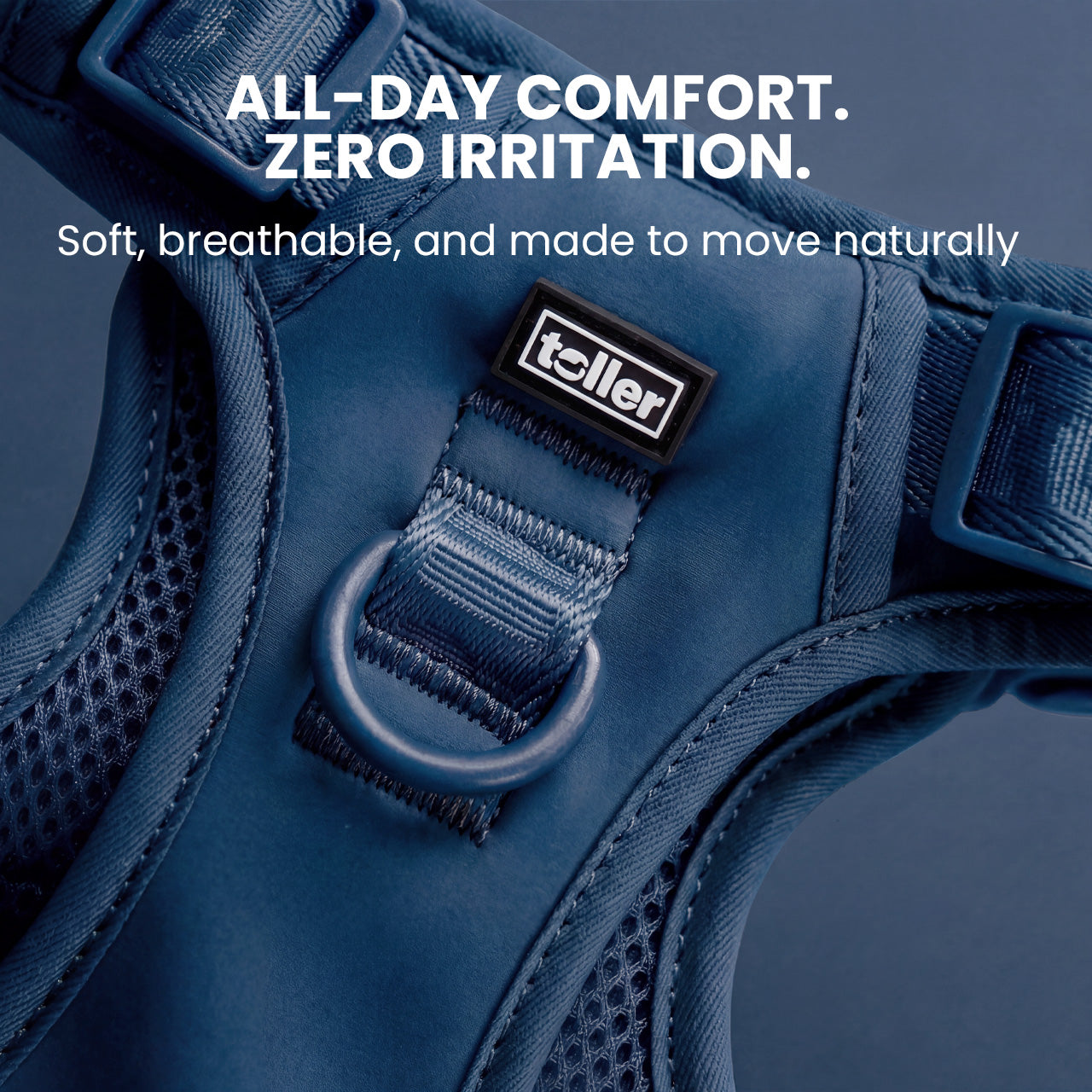Blue dog harness with 'Toller' brand logo on a dark background, featuring comfort and irritation text.