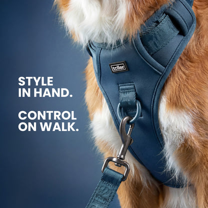 Dog wearing a blue harness with text 'Style in hand. Control on walk.' on a dark background