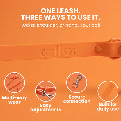 Orange leash with features and text on an orange background