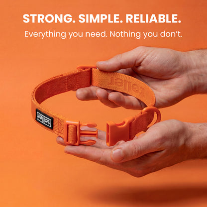 Orange dog collar with a brand logo held in hands against an orange background