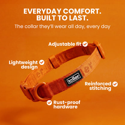 Brown dog collar with Toller brand on an orange background, featuring text about collar features.