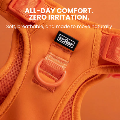 Orange dog harness with 'Toller' brand label on an orange background, featuring text about comfort and irritation.