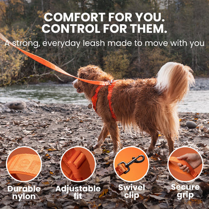 Dog on an orange leash with features highlighted, outdoors.