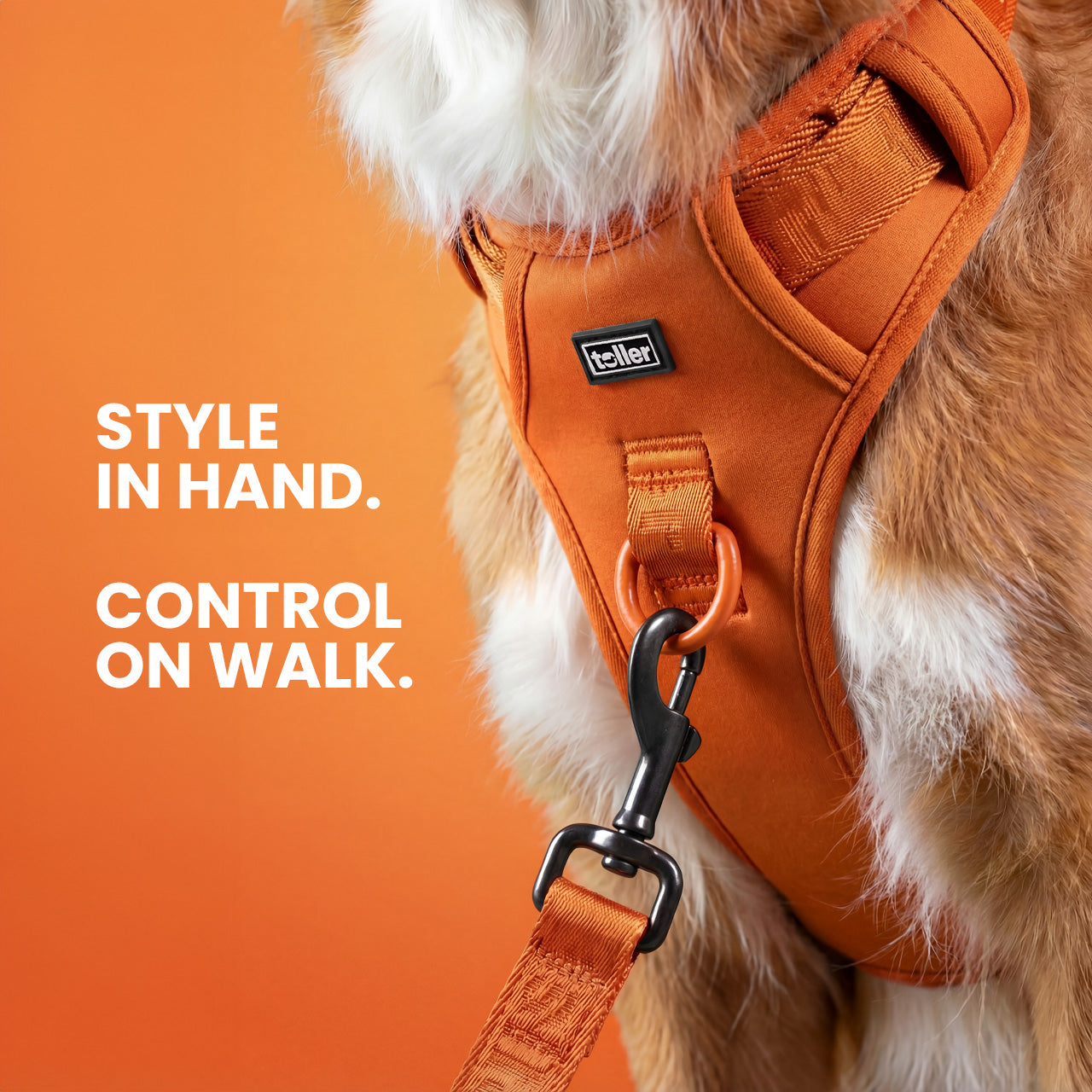 Dog wearing an orange harness with text 'Style in hand. Control on walk.' on an orange background