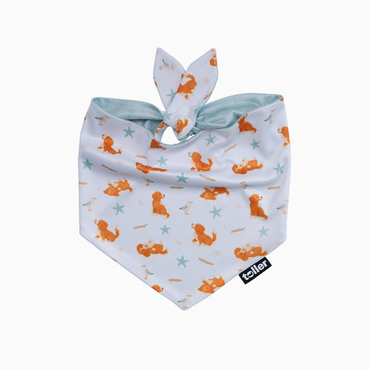 'Palmtree Play' 2-in-1 Dog Bandana