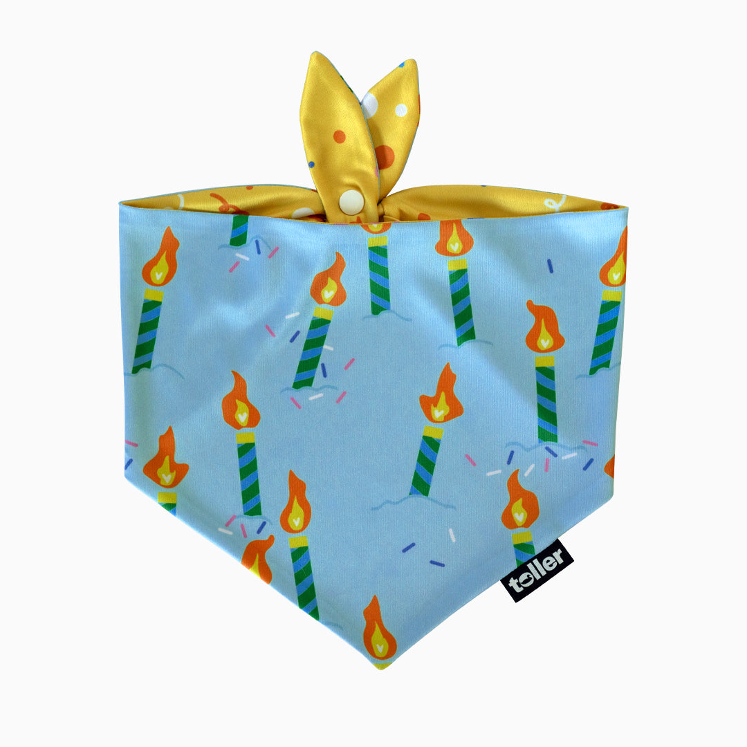 'Party Animal' 2-in-1 Dog Bandana