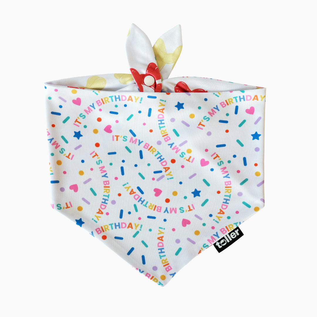 'Hip Hip Hooray' 2-in-1 Dog Bandana