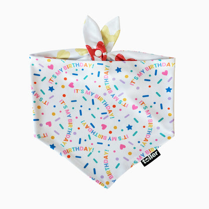 'Hip Hip Hooray' 2-in-1 Dog Bandana