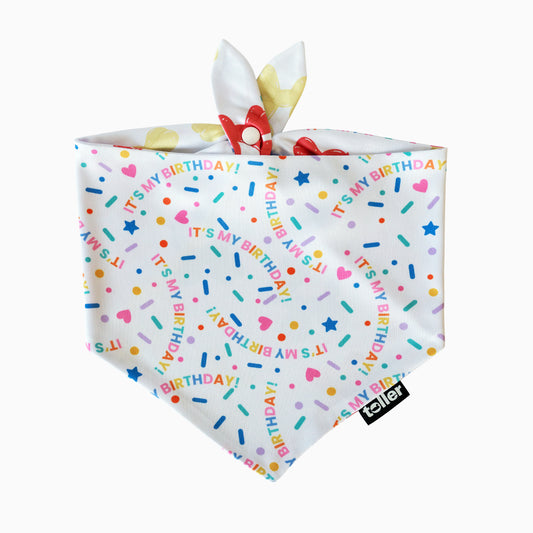 'Hip Hip Hooray' 2-in-1 Dog Bandana