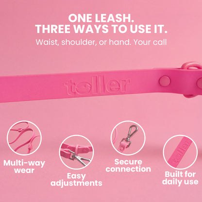 Pink dog leash with features on a pink background