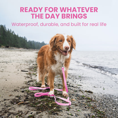 Dog on a leash with text about product features on a beach.
