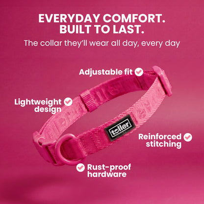 Pink dog collar with features on a pink background