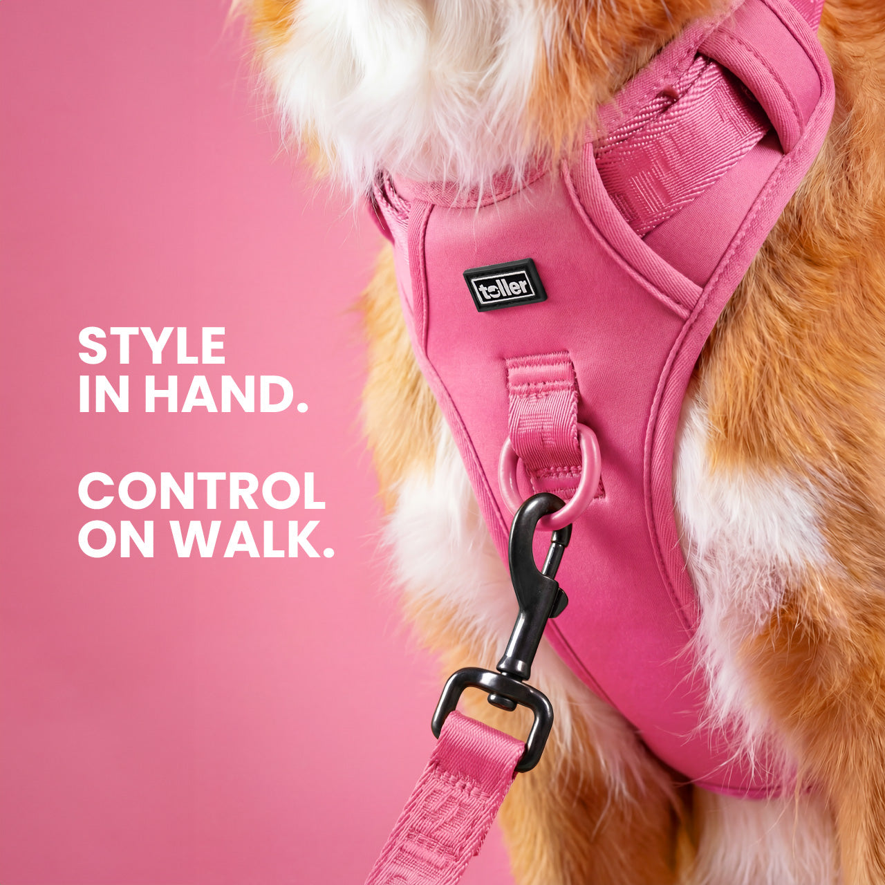 Dog wearing a pink harness with text 'Style in hand. Control on walk.'